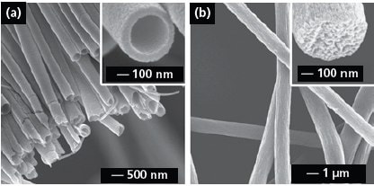 SEM image of a uniaxially aligned array