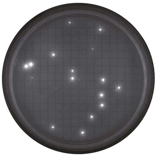 Agar plate after fluorescent staining for rapid microbial detection with the Milliflex® Quantum system