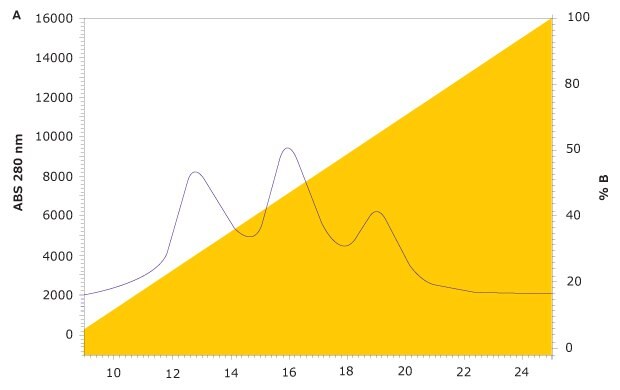 Three peaks representing variants in the FcR affinity chromatographic analysis of rituximab on the new TSKgel® FcR-IIIA-NPR column