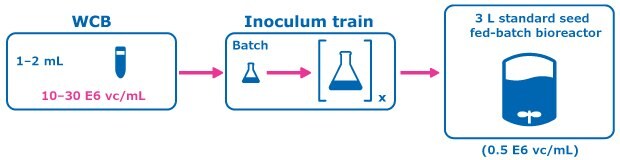 Figure 2 (Control condition: Conventional Seed Train) shows the experimental plan for intensified upstream case study evaluation comparing a perfused N-1 seed train utilizing a Cellicon® filter for cell retention to a conventional seed train in shake flasks prior to inoculation of a set of fed-batch bioreactors at 0.5E6 cells/mL.