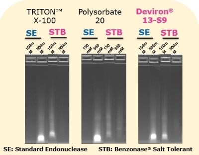 Endonukleaza Benzonase<sup>®</sup> Salt Tolerant zachowuje zdolność trawienia DNA w połączeniu z różnymi detergentami, w tym Polysorbate 20, Triton X-100, Deviron<sup>®</sup> C16 lub Deviron<sup>®</sup> 13-S9.