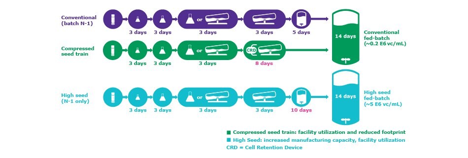 Comparison of a standard manufacturing process to processes that use N-1 perfusion in the seed train.