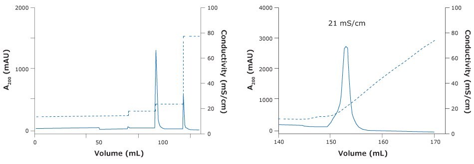 Chromatography of ChAdOx-2-RabG vaccine