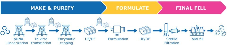 The modeled mRNA process began with plasmid DNA as the in vitro transcription template and ended with the formulated lipid nanoparticle (LNP) product