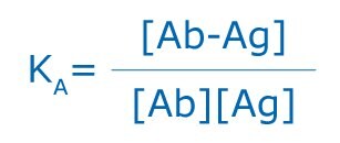 Antibody antigen equation