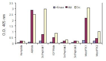 A total of nine biotinylated peptides were synthesized