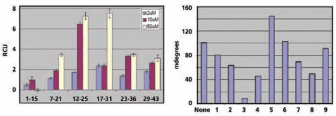 Binding Analysis of Antibodies to Immobilized Peptides Binding of phosphotyrosine-specific (left) and phosphothreonine-specific (right) antibodies to peptides immobilized on the affinity chip.