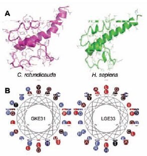 Molecular models