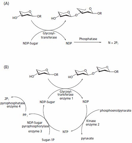 Methods for avoiding enzyme inhibition in glycosyltransferasecatalyzed synthesis