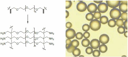 Szkielet żywicy Aminomethyl-ChemMatrix jest zbudowany w całości z chemicznie stabilnych wiązań polieterowych (po lewej). Mikroskopowy obraz kulek ChemMatrix (po prawej).