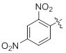 Dinitrophenyl