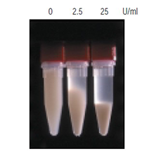 Viscosity reduction by Benzonase E. coli cells