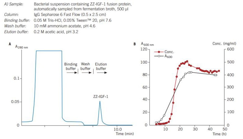 Chromatogram of a sample taken at one time point during fermentation