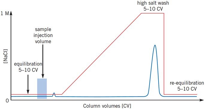 Sample still eluting when gradient begins