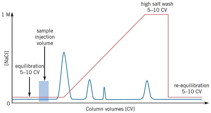 Sample still eluting when gradient begins