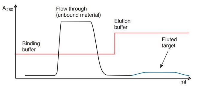 Target elutes in a broad, low peak