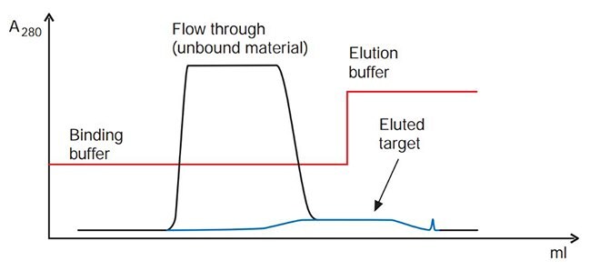 Some of the target molecule elutes as a broad