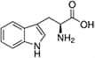 Tryptophan, Trp, W