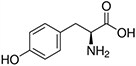 Tyrosine, Tyr, Y