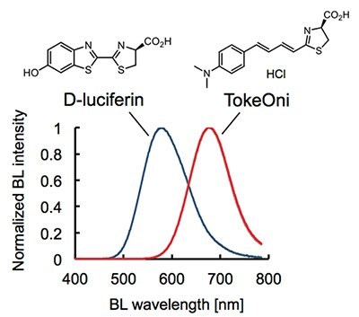 TokeOniの構造と発光スペクトル