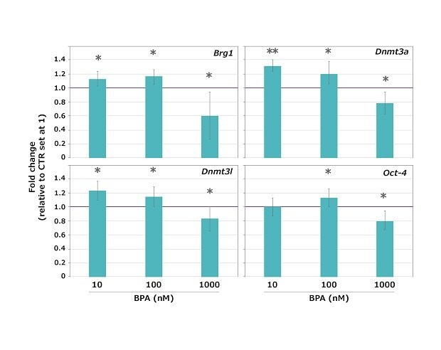 Expression of maternal-effect genes in mouse oocytes exposed to BPA during the GV-to-MII transition.