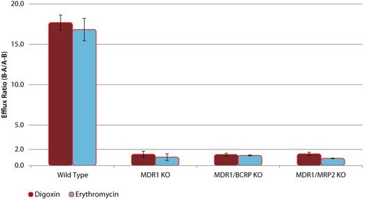 Efflux of P-gp Substrates in wild-type (WT) and MDR1 knockout (KO) cell lines