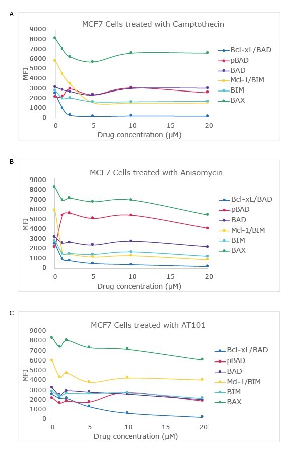 Drug Dose-Dependent Study in MCF7 Cell Line Using the MILLIPLEX® Bcl-2 Family Apoptosis Panel 1 Graphs showing a drug dose-dependent study in MCF7 cell line using the MILLIPLEX® Bcl-2 Family Apoptosis Panel 1 (Cat. No. 48-682MAG) with varying concentrations of camptothecin, anisomycin, and AT101. Analytes and protein interactions measured include Bcl-xL/BAD, pBAD, BAD, MCL-1/BIM, BIM, and BAX.