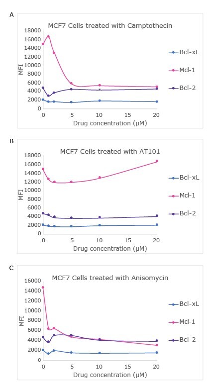 Drug Dose-Dependent Study in MCF7 Cell Line Using the MILLIPLEX® Bcl-2 Family Apoptosis Panel 2 Graphs showing a drug dose-dependent study in MCF7 cell line using the MILLIPLEX® Bcl-2 Family Apoptosis Panel 2 (Cat. No. 48-683MAG) with varying concentrations of camptothecin, anisomycin, and AT101. Analytes measured include Bcl-xL, MCL-1, and Bcl-2.
