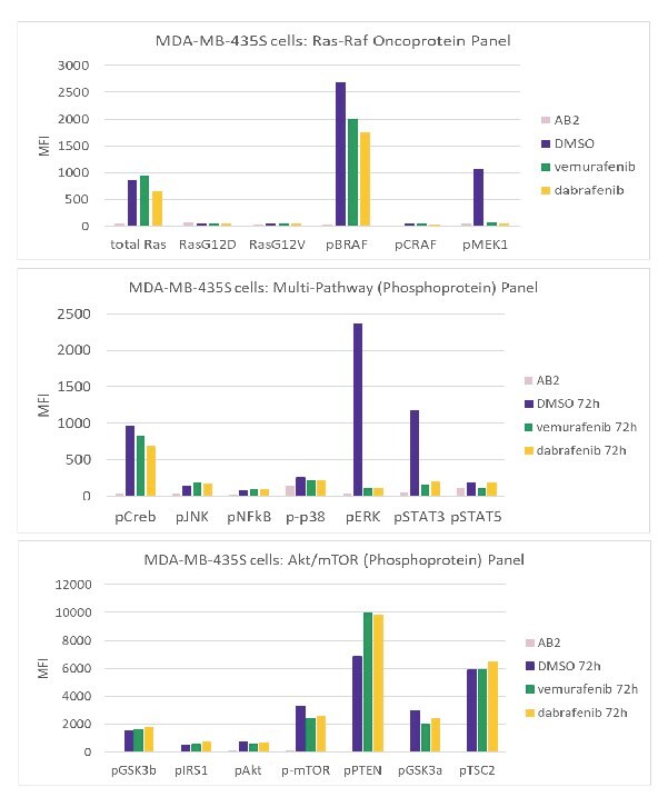 Treatment of MDA-MB-435S Cells with BRAF Inhibitors (vemurafenib and dabrafenib) Graphs showing treatment of MDA-MB-435S cells using the MILLIPLEX® Ras-Raf Oncoprotein Panel (Cat. No. 48-684MAG), MILLIPLEX® Multi-Pathway Phosphoprotein Panel (Cat. No. 48-680MAG), and MILLIPLEX® Akt/mTOR Phosphoprotein Panel (Cat. No. 48-611MAG) with vemurafenib and dabrafenib.