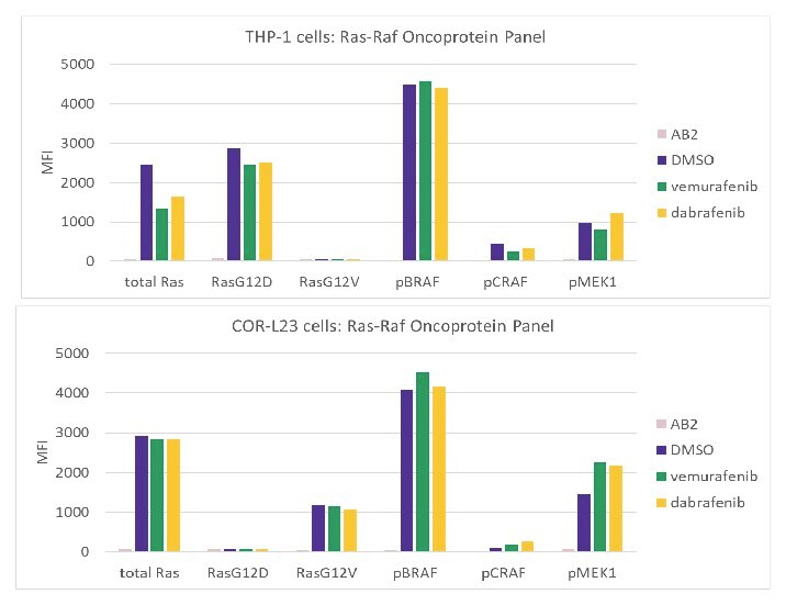 Treatment of THP-1 and COR-L23 Cells with BRAF Inhibitors (vemurafenib and dabrafenib) Using the MILLIPLEX® Ras-Raf Oncoprotein Panel Graphs showing treatment of THP-1 and COR-L23 cells using the MILLIPLEX® Ras-Raf Oncoprotein Panel (Cat. No. 48-684MAG) with vemurafenib and dabrafenib.