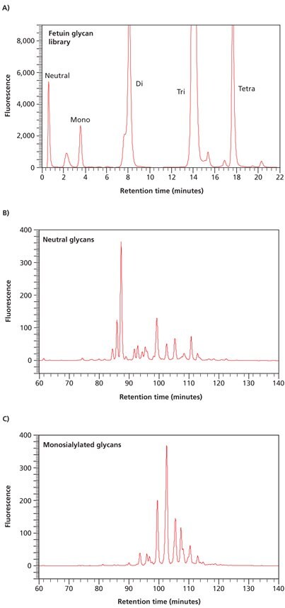 Separation of neutral and acidic glycans of fetuin by weak anion-exchange chromatography