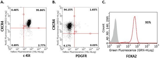 Endoderm differentiation of human iPS cells. Flow cytometry analysis of human iPSC-derived definitive endoderm cells for endoderm markers demonstrates that cells are CXCR4+, c-Kit+, Sox-17+ , PDGFR- and FOXA2+ after four days of differentiation.