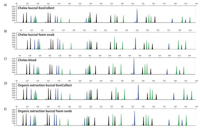 A-O. STR profiles of DNA extracted from FTA cards