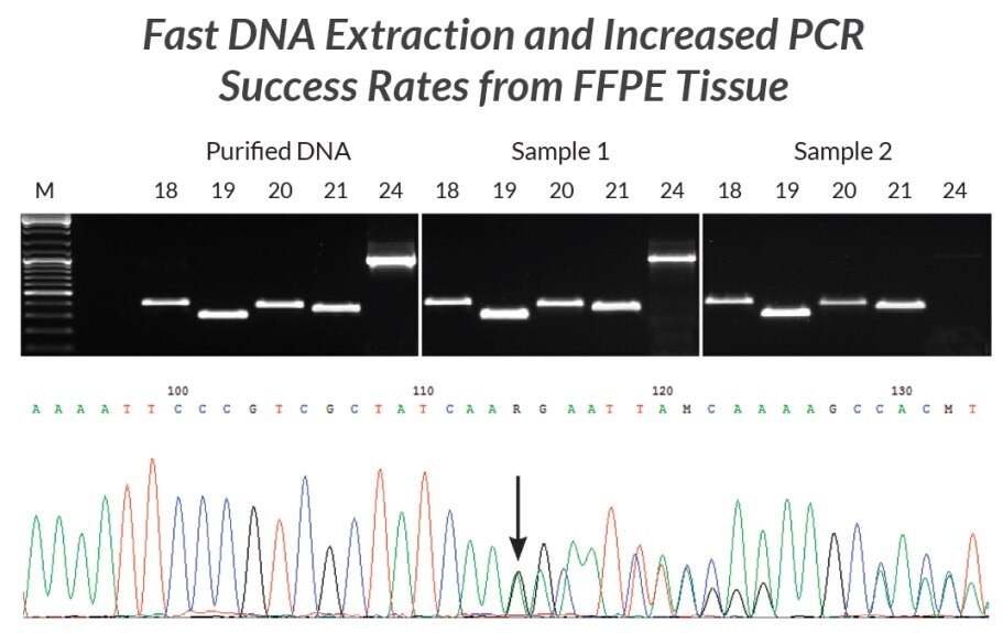 DNA extracts were prepared from two different FFPE samples using KAPA Express Extract.