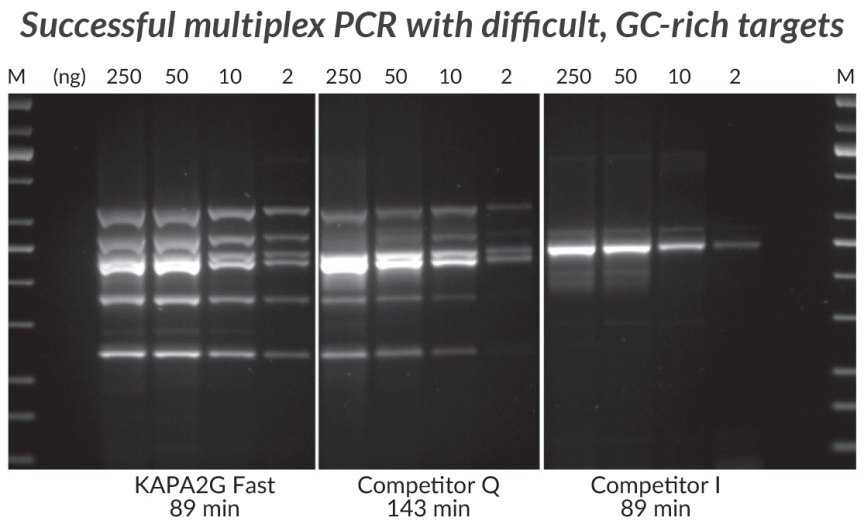 GC-rich Multiplex PCR (6-plex) performed with the KAPA2G Fast Multiplex PCR Kit, Competitor Q and Competitor I.