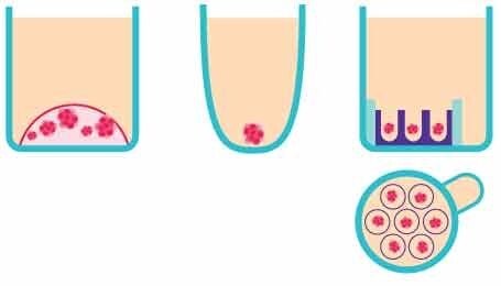 : Schematic of three in vitro 3D organoid screening methods