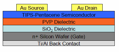 Cross-section of TIPS-Pentacene thin-film transistor