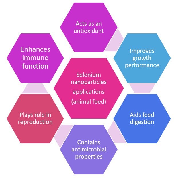 Applications of SeNPs in animal feeds