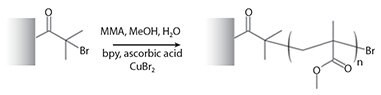 Polymerization of methyl methacrylate from a surface.