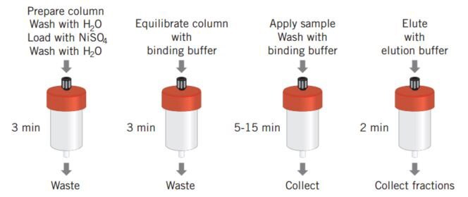 HiTrap® Chelating HP and a schematic overview of poly (His) fusion protein purification