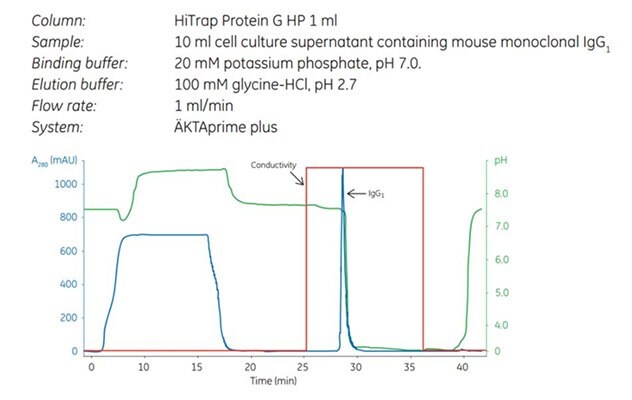 Capture step in a two-step puriﬁcation of mouse monoclonal IgG1 using HiTrap Protein G HP. The curves shown are absorbance (blue), pH (green), and conductivity (red).