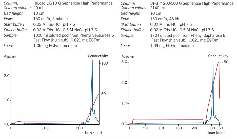 Elution pattern, purity and yield are maintained when scaling-up from a HiLoad column to a BPG column