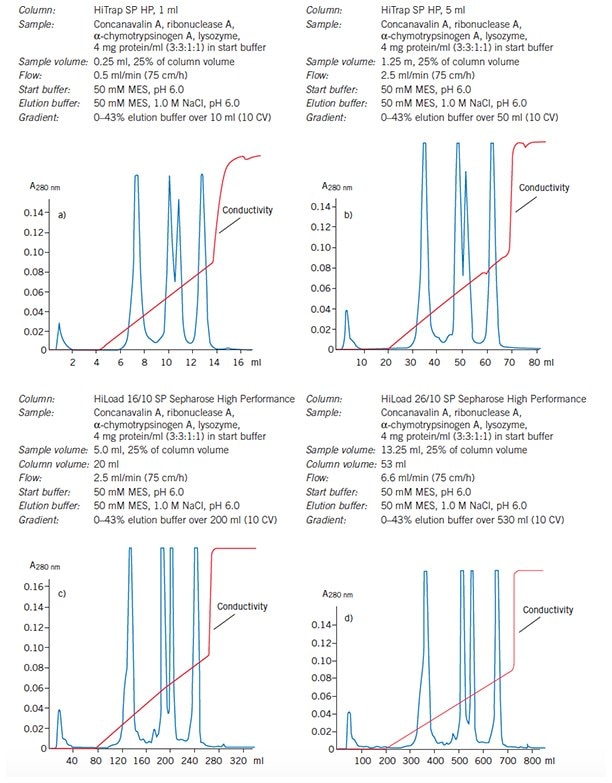 Reproducibility maintained as purification is scaled up from a 1 ml HiTrap column through to a 53 ml HiLoad 26/10 SP Sepharose High Performance column