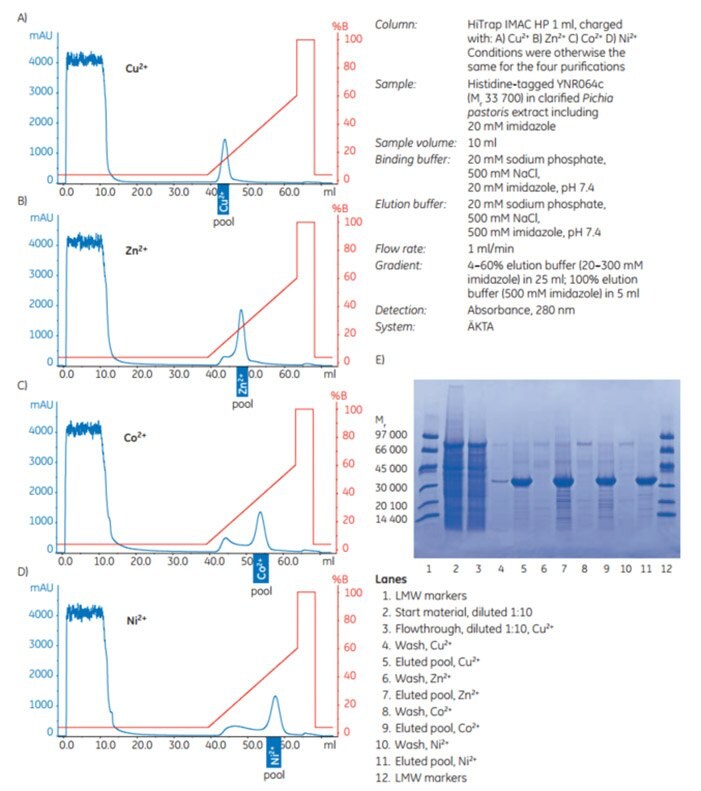 Puriﬁcation of (histidine)6-tagged YNR064c expressed in Pichia pastoris