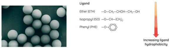 Ligands are coupled to monodispersed SOURCE™ particles via uncharged, chemically stable O-ether linkages.