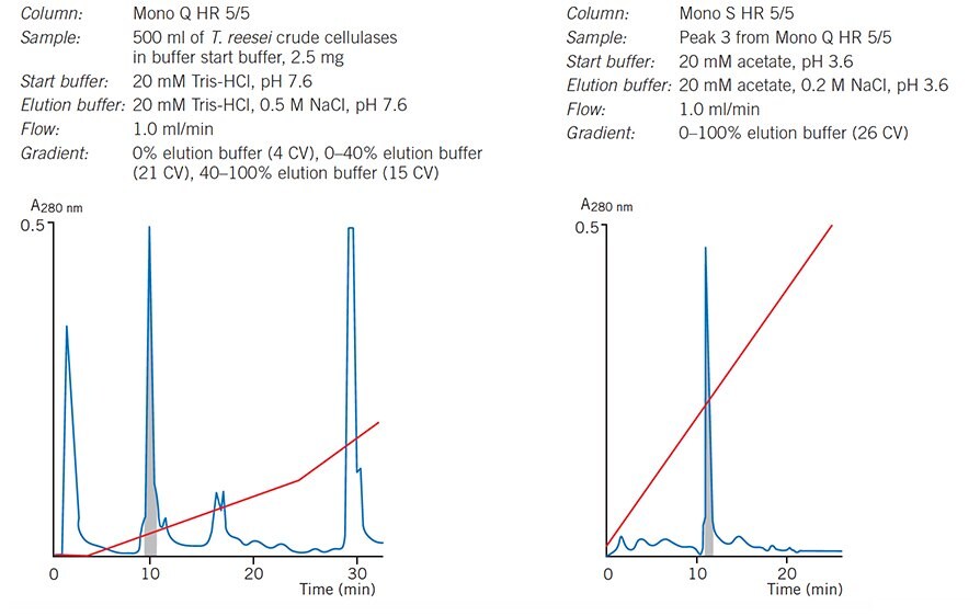 Purification of cellulose on Mono Q and Mono S HR 5/5 columns