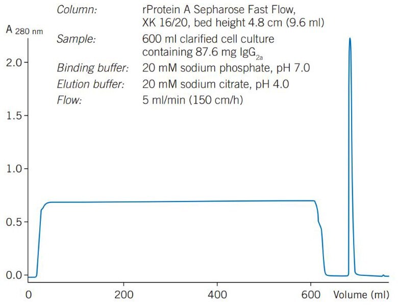 Puriﬁcation of a monoclonal IgG2a from clariﬁed cell culture on rProtein A Sepharose 4 Fast Flow.