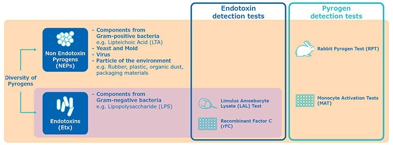 QA Pyrogen Testing