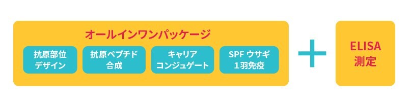 抗体価保証付シンプル抗体作製サービスの内容