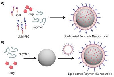 脂質-ポリマーハイブリッドナノ粒子の一段階合成法では、ナノ沈殿法と自発的な自己組織化を利用します